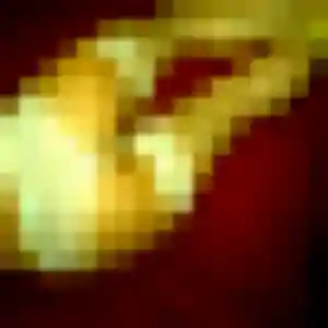 Odile de Saint-Prim, 25 ans - rencontre adulte sans lendemain