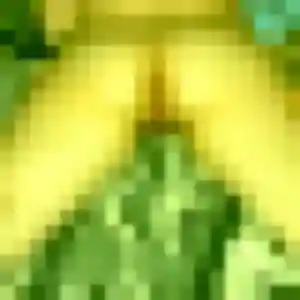 Ronke, 31 ans, cherche un rencontre adulte à Saint-Pryvé-Saint-Mesmin