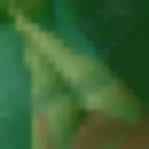 Photo privée de Tessa, 19 ans à Saint-Sauveur-Villages - plan discret