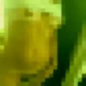 Dieynaba de Saint-Senoux, 40 ans - rencontre adulte discret