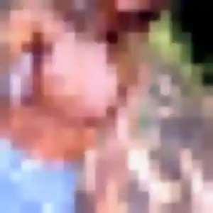 Emilie, 43 ans, disponible à Saint-Sérotin pour une rencontre coquine