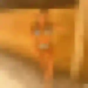 Photo de Gathoni à Saint-Simon (31 ans) - rencontre adulte discret