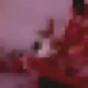Photo privée de Kafui, 22 ans à Saint-Symphorien-de-Marmagne - plan discret