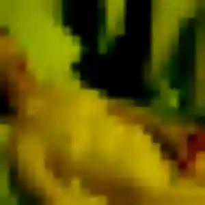 Valentine, 26 ans, connectée à Saint-Usage pour une rencontre coquine