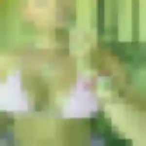 Découvre Roxane, 34 ans à Saint-Vit en privé