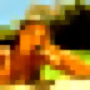 Profil de Zélie à Saint-Vrain (45 ans) - rencontre adulte sans inscription