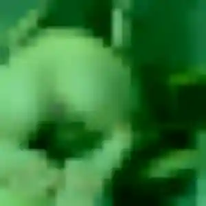 Rejoins Dieynaba, 38 ans à Saint-Ybard en privé