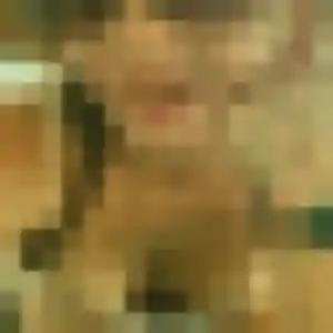 Codou, fille de 35 ans propose rencontre adulte à Sainte-Agathe-la-Bouteresse
