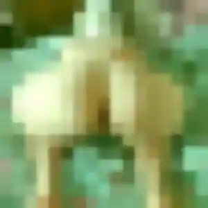 Jolie Adjoua, 38 ans à Saissac - voir sa photo