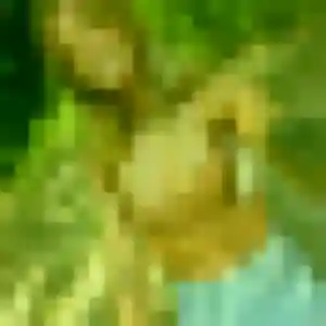 Photo privée de Stacy, 27 ans à Saissac - rencontre sans lendemain