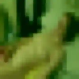 Sexy Yawa, 42 ans à Salaise-sur-Sanne - voir sa photo
