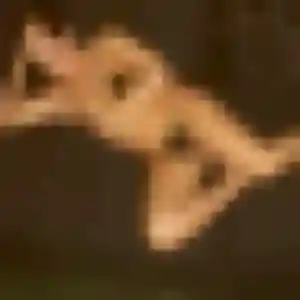 Découvre Daphné, 20 ans à Salles en t'inscrivant