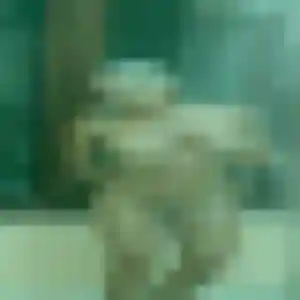 Sexy Madeleine, 44 ans à Saméon - voir sa photo