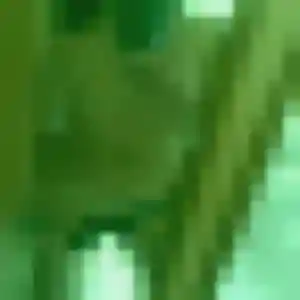 Photo de Sonia à Sancé (30 ans) - rencontre adulte gratuit