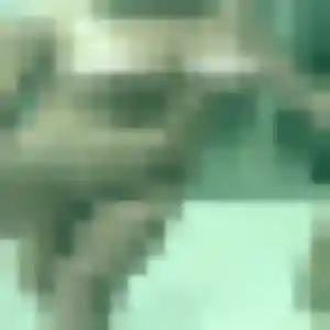 Profil de Ama à Sancheville (21 ans) - rencontre adulte sans inscription