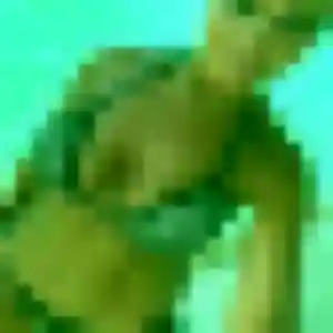 rencontre adulte à Sarrians : photo de Prisca, 26 ans - inscription gratuite