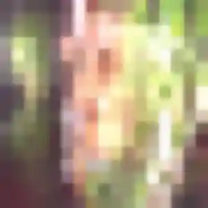 Gladys, 27 ans, dispo pour rencontre adulte à Sarry