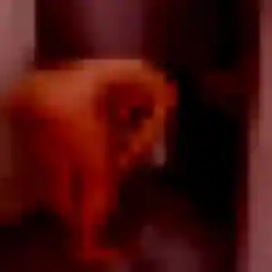 Maimouna (32 ans) à Sarry cherche une rencontre maintenant