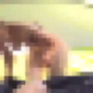 Njeri, 22 ans, veut un rencontre adulte à Sars-Poteries