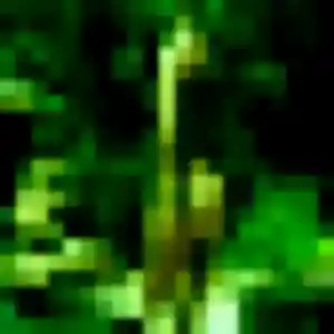 Profil de Yetunde à Saucats (22 ans) - rencontre adulte sans inscription