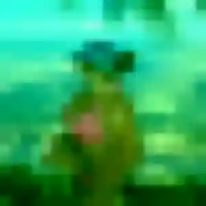 Codou (37 ans) à Saussines cherche un rencontre adulte ce soir