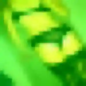 Belle Adeola, 39 ans à Savy - découvrir son profil