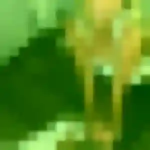 Brigitte, 27 ans, en ligne à Schaeffersheim pour une rencontre coquine