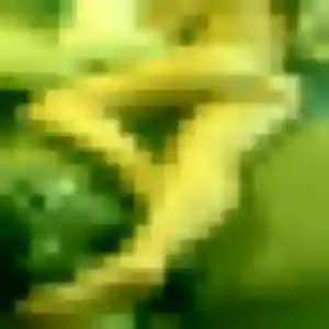 Rachida, fille de 29 ans propose rencontre adulte à Schleithal