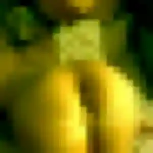 Bousso (32 ans) à Schwenheim cherche un rencontre adulte rapidement