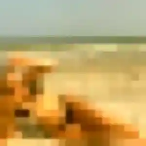 Jolie Favour, 40 ans à Seclin - la contacter