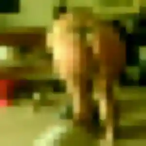 Profil de Philippine à Seclin (34 ans) - rencontre adulte anonyme