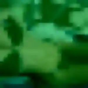 Photo perso de Ehui, 27 ans à Selongey - rencontre sans lendemain