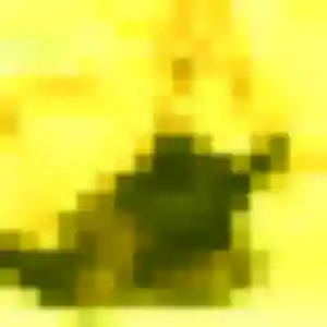 Découvre Ndèye, 36 ans à Senan en t'inscrivant