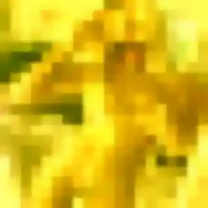 Photo sexy de Maëva, 29 ans à Sequedin - rencontre sans lendemain