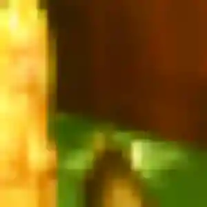 Olive, 33 ans, cherche un rencontre adulte à Sermaise