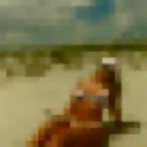 rencontre adulte à Serques : profil de Shanna, 31 ans - inscription gratuite