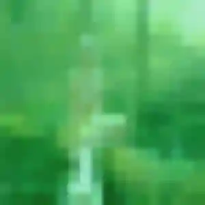 rencontre adulte à Servoz : profil de Esi, 22 ans - accès libre