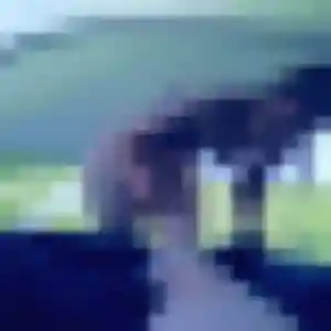 Profil de Dienaba à Sessenheim (35 ans) - rencontre adulte discret