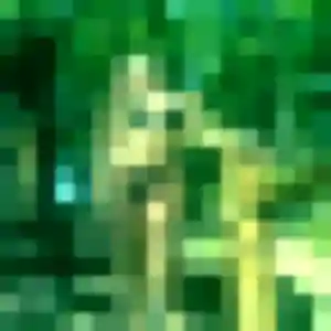 Adjoua (34 ans) à Sevrier propose un rencontre adulte maintenant