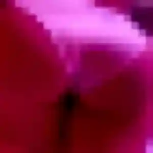 Profil de Malika à Sierville (42 ans) - rencontre adulte anonyme