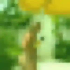 Photo de Yawa à Sillegny (31 ans) - rencontre adulte sans inscription