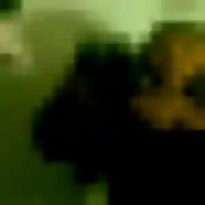 Rejoins Zara, 44 ans à Simandre-sur-Suran gratuitement