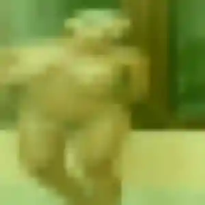 Charmante Vanessa, 28 ans à Sissonne - découvrir son profil