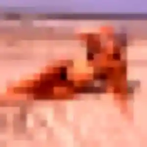 Favour de Sochaux, 37 ans - rencontre adulte sans lendemain