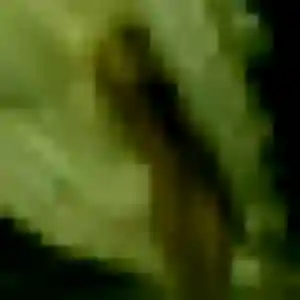 Dienaba de Solignac, 30 ans - rencontre adulte sans prise de tête