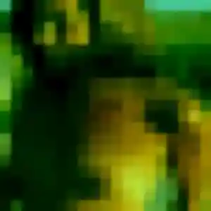 Rejoins Jennifer, 29 ans à Sonchamp gratuitement