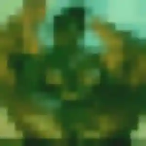 Rencontre Folake, 40 ans à Souchez en t'inscrivant