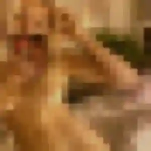 Daphné (45 ans) à Souvigny propose un rencontre adulte ce soir