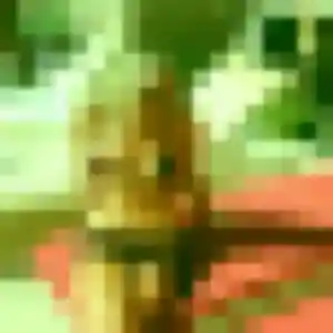 rencontre adulte à Soyons : profil de Téning, 27 ans - inscription gratuite