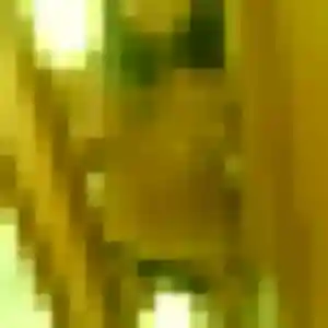 rencontre adulte à Steene : photo de Yolande, 45 ans - accès libre